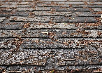 Watertight Roofing Services LLC Images